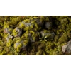 Gamers Grass Moss Tufts – 2 mm (Wild) | 115 kępek mchu do modeli i dioram
